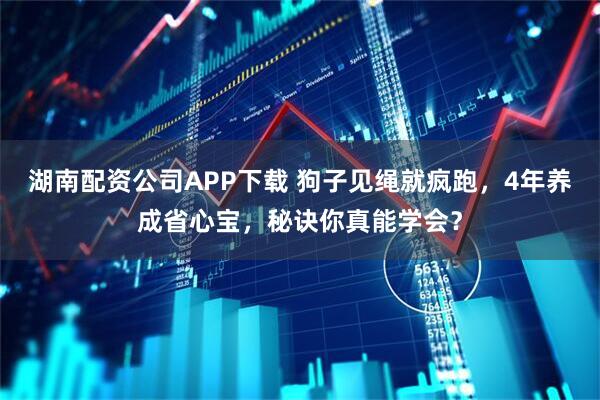 湖南配资公司APP下载 狗子见绳就疯跑，4年养成省心宝，秘诀你真能学会？