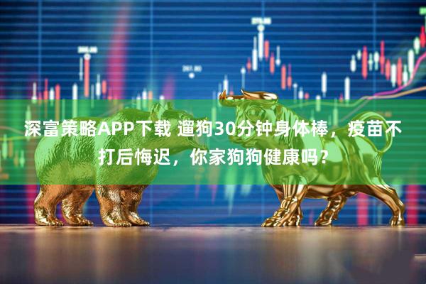 深富策略APP下载 遛狗30分钟身体棒，疫苗不打后悔迟，你家狗狗健康吗？