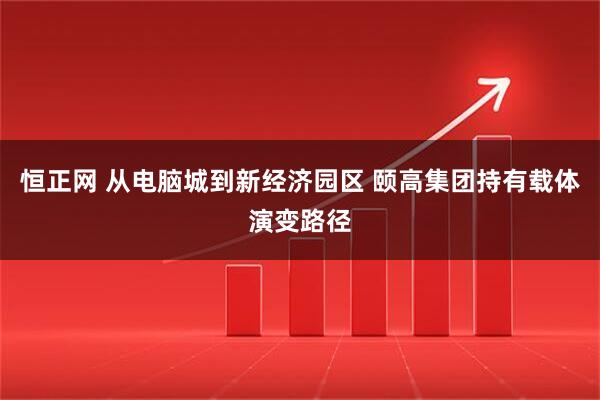 恒正网 从电脑城到新经济园区 颐高集团持有载体演变路径