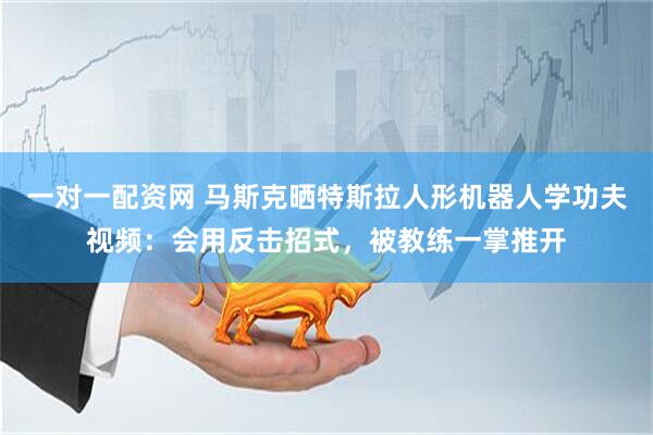 一对一配资网 马斯克晒特斯拉人形机器人学功夫视频：会用反击招式，被教练一掌推开