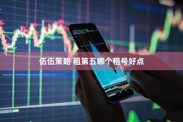 伍伍策略 租第五哪个租号好点